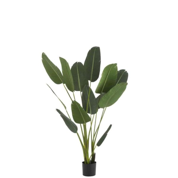 STRELITZIA PLASTIC GREEN MEDIUM