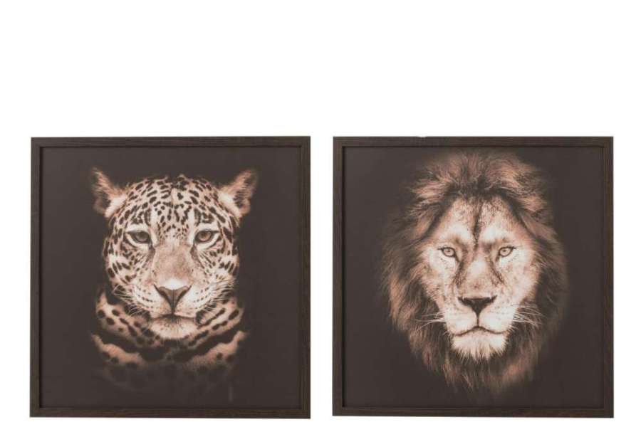 FRAME LION/PANTHER MDF/GLASS BROWN/BLACK ASSORTMENT OF 2