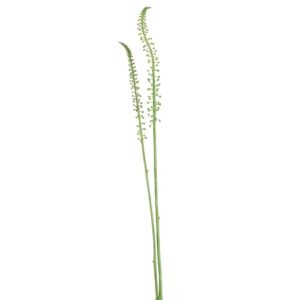 BRANCH CORN SHOOT PLASTIC GREEN