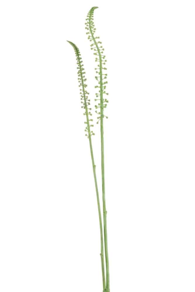 BRANCH CORN SHOOT PLASTIC GREEN