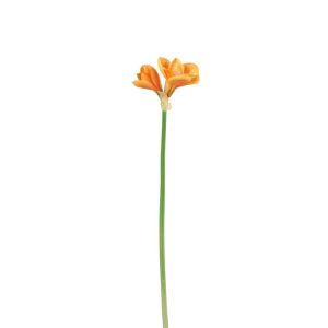 AMARYLLIS 3 FLOWER PLASTIC LIGHT ORANGE