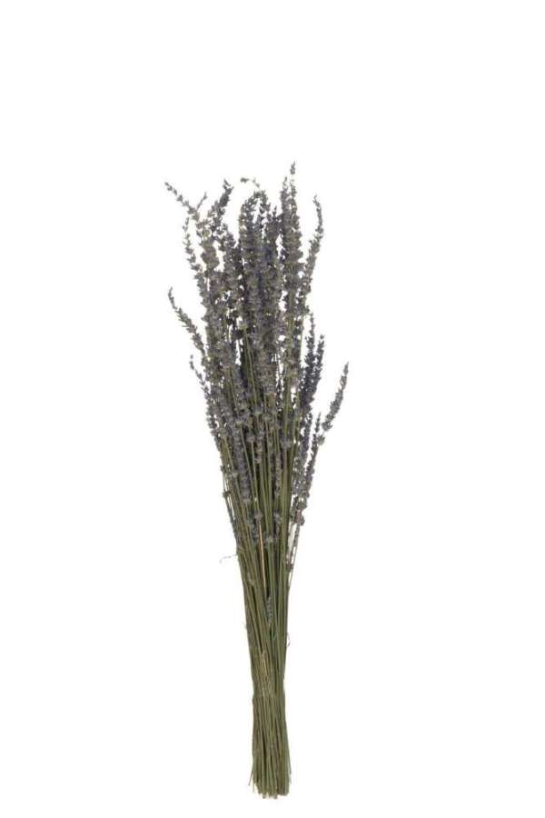 BUNDLE DRIED LAVENDER PURPLE