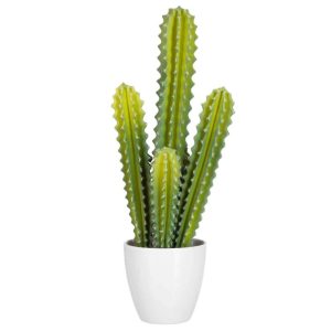 CACTUS 5 PARTS GREEN
