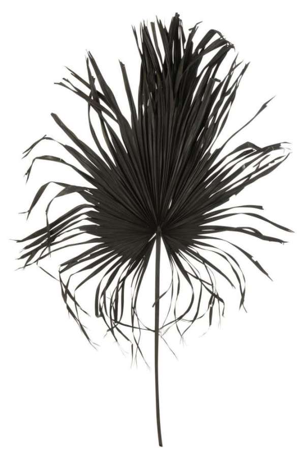 PALMLEAF DECO PALMTREE BLACK