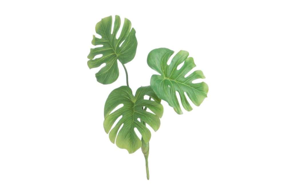 LEAF PHILO 3 PARTS PLASTIC GREEN SMALL