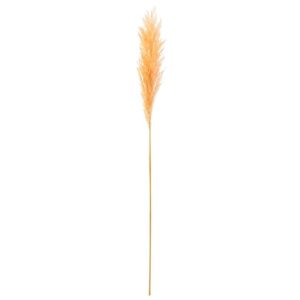 BRANCH PLUME PAMPAS LIGHT ORANGE