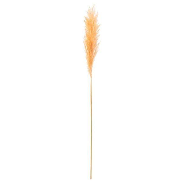 BRANCH PLUME PAMPAS LIGHT ORANGE