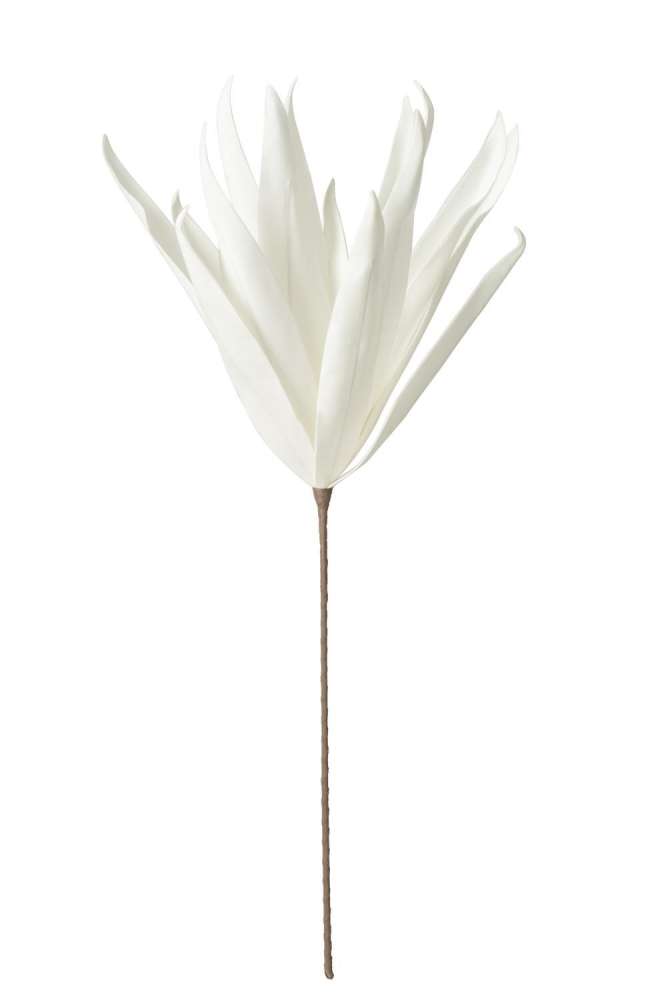 FLOWER BRANCH LONG LEAVES 1 HEAD EVA WHITE
