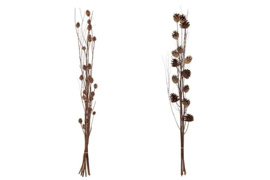 BRANCH PINE CONE DRY FLOWER DARK BROWN ASSORTMENT OF 2