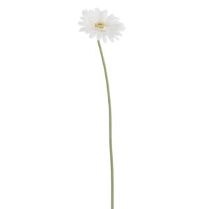 GERBERA FRESH TOUCH PLASTIC WHITE