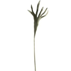 BRANCH HORNS PLASTIC MATTE GREEN