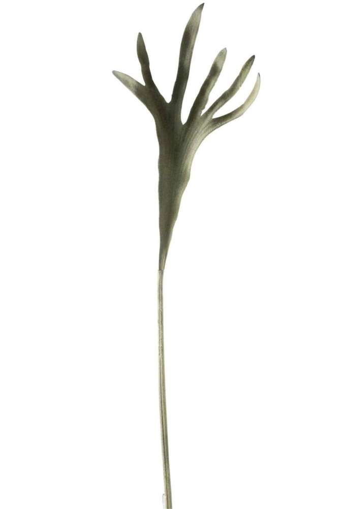 BRANCH HORNS PLASTIC MATTE GREEN