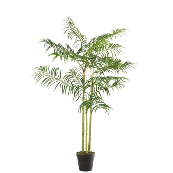 BAMBOO PALM IN POT PLASTIC GREEN/BLACK SMALL