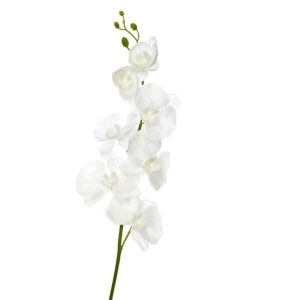 ORCHID POLYESTER WIT 98CM