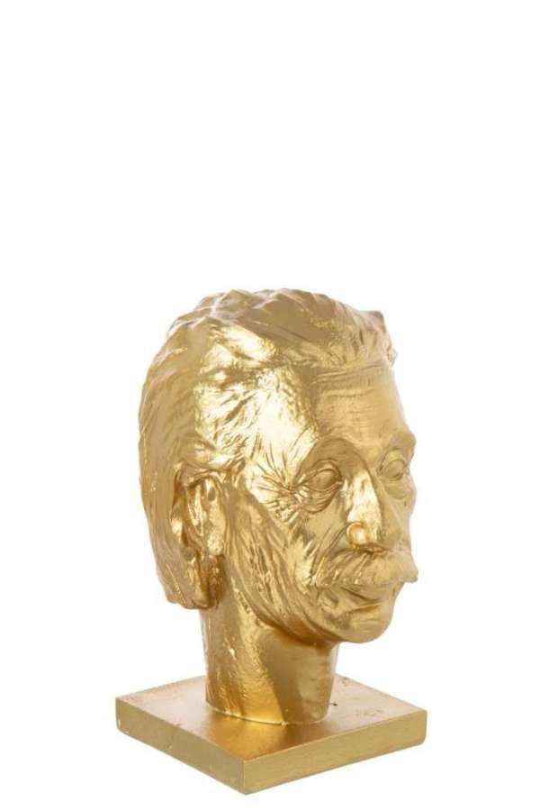 BUST EINSTEIN LIMEPOWDER GOLD COLORED