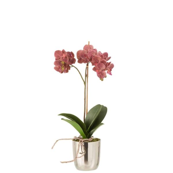 ORCHID IN POT PLASTIC/CEMENT DARK PINK/SILVER