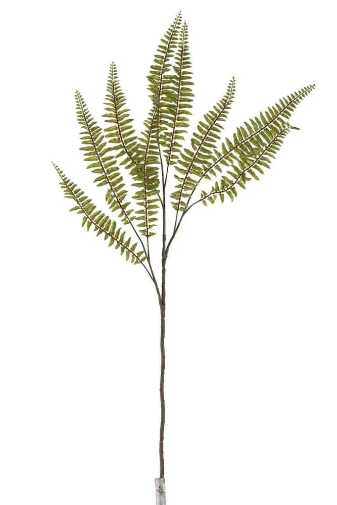 BRANCH FERN BOSTON PLASTIC GREEN LARGE