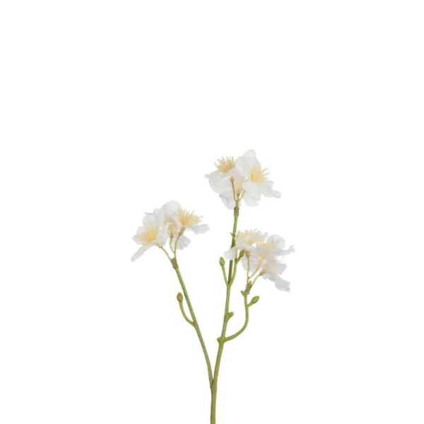 BLOESEM KERSENBOOM WIT/LICHT GEEL SMALL 25CM