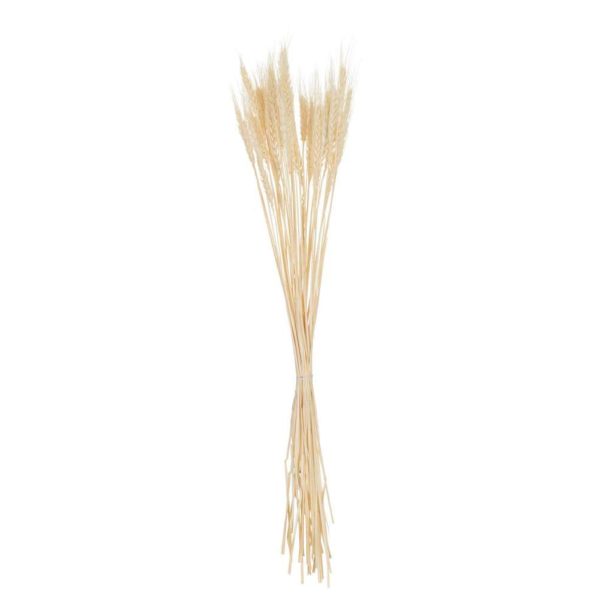 BUNDLE DRIED WHEAT ECRU