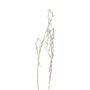 SENECIO ROWLEYAN PLASTIC ECRU