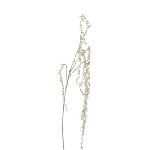 SENECIO ROWLEYAN PLASTIC ECRU