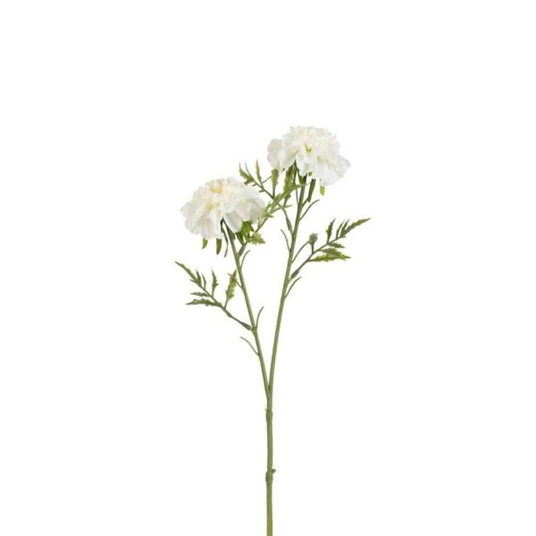 SMALL SCABIOUS 2PARTS PLASTIC WHITE