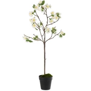 BLOSSOMTREE PLASTIC WHITE/BROWN MEDIUM
