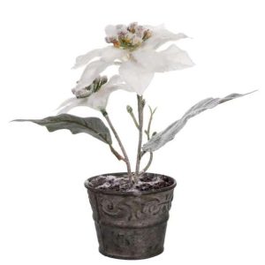 CHRISTMAS STAR IN POT WHITE SNOWY 19CM
