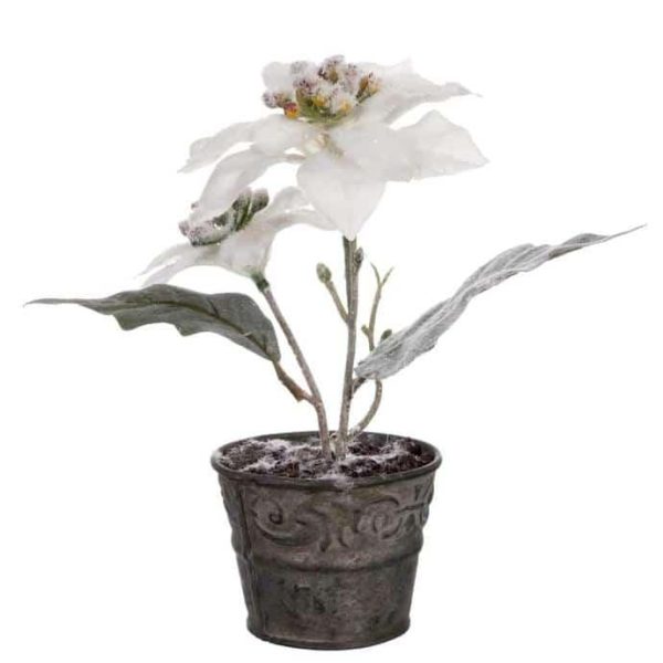 CHRISTMAS STAR IN POT WHITE SNOWY 19CM