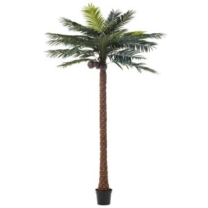 PALM TREE 4 COCONUTS IN POT PLASTIC GREEN