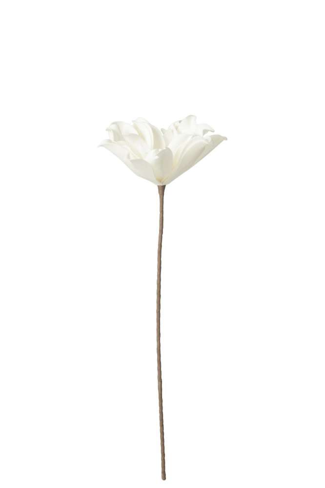 FLOWER BRANCH SHORT LEAVES 1 HEAD EVA WHITE