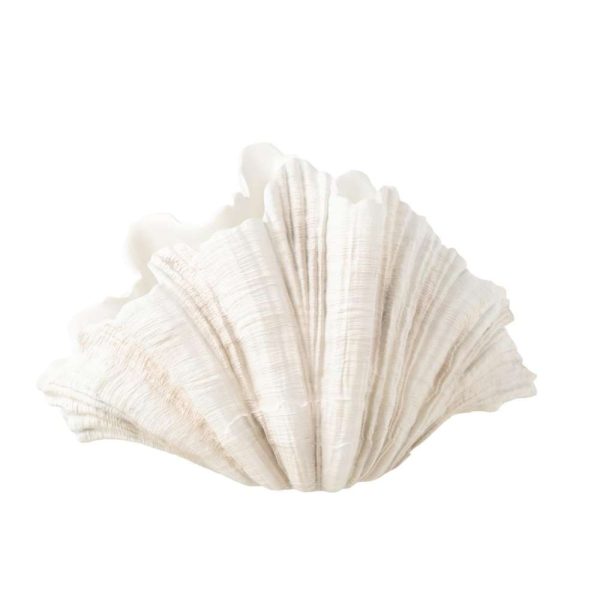 DECO VASE CLAM SHELL POLYRESIN OFF WHITE
