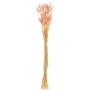BUNDLE BUNNYTAIL DRIED LIGHT PINK