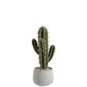 SUCCULENT+POT CEMENT GREEN