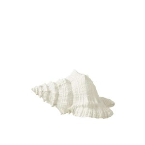 SEASHELL POLYRESIN WHITE