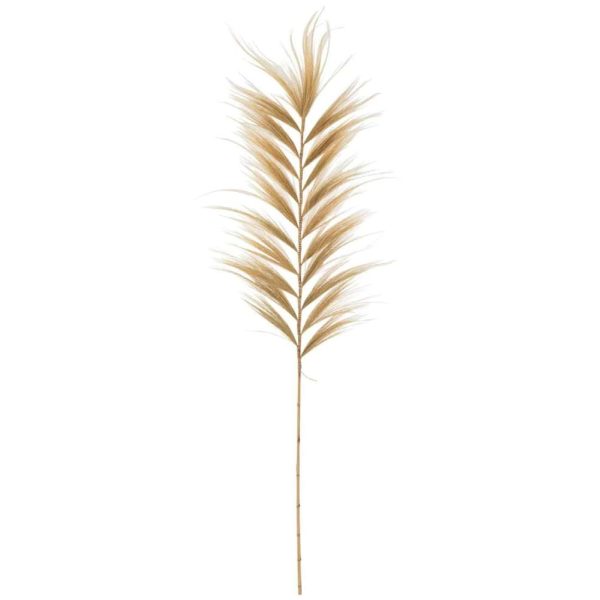 BRANCH RAYUNG GRASS NATURAL