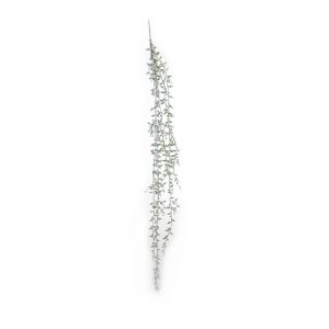 Plante Bønneplante For Heng 8X71Cm