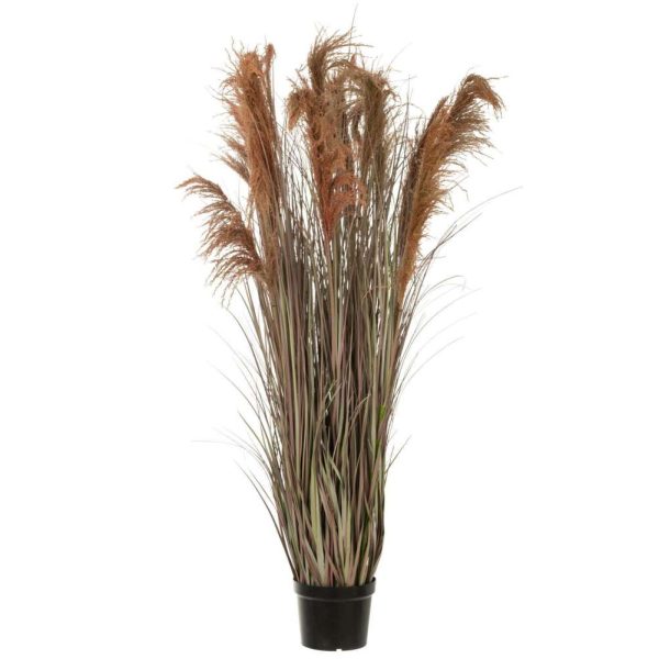 PAMPAS GRASS 13 HEADS IN POT PVC GREEN/ORANGE LARGE