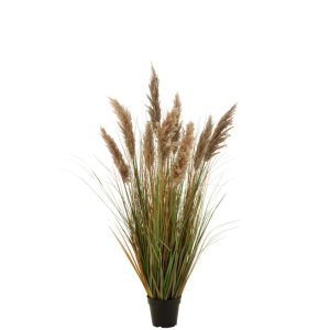 PAMPAS GRASS 9 HEADS IN POT PVC GREEN/BEIGE MEDIUM