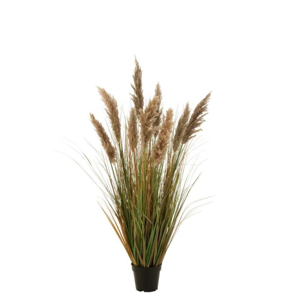 PAMPAS GRASS 9 HEADS IN POT PVC GREEN/BEIGE MEDIUM