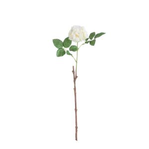 ROSE WILD 2LEAVES POLYESTER WHITE/GREEN
