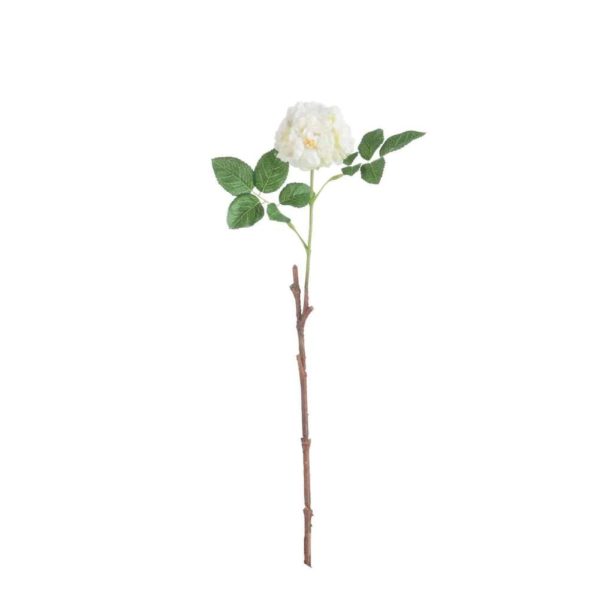 ROSE WILD 2LEAVES POLYESTER WHITE/GREEN