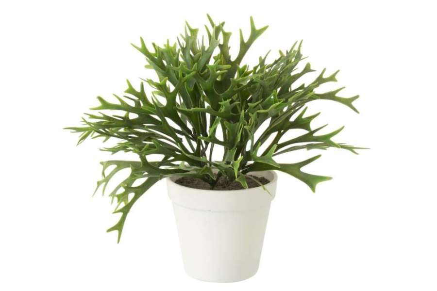 PLATYCERIUM BIFURCATUM IN POT ARTIFICIAL GREEN