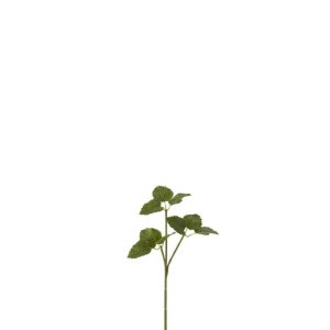 BRANCH HOPPE PLASTIC GREEN