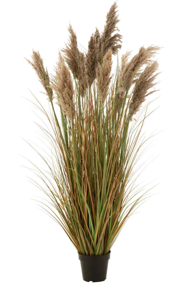 PAMPAS GRASS 13 HEADS IN POT PVC GREEN/BEIGE LARGE