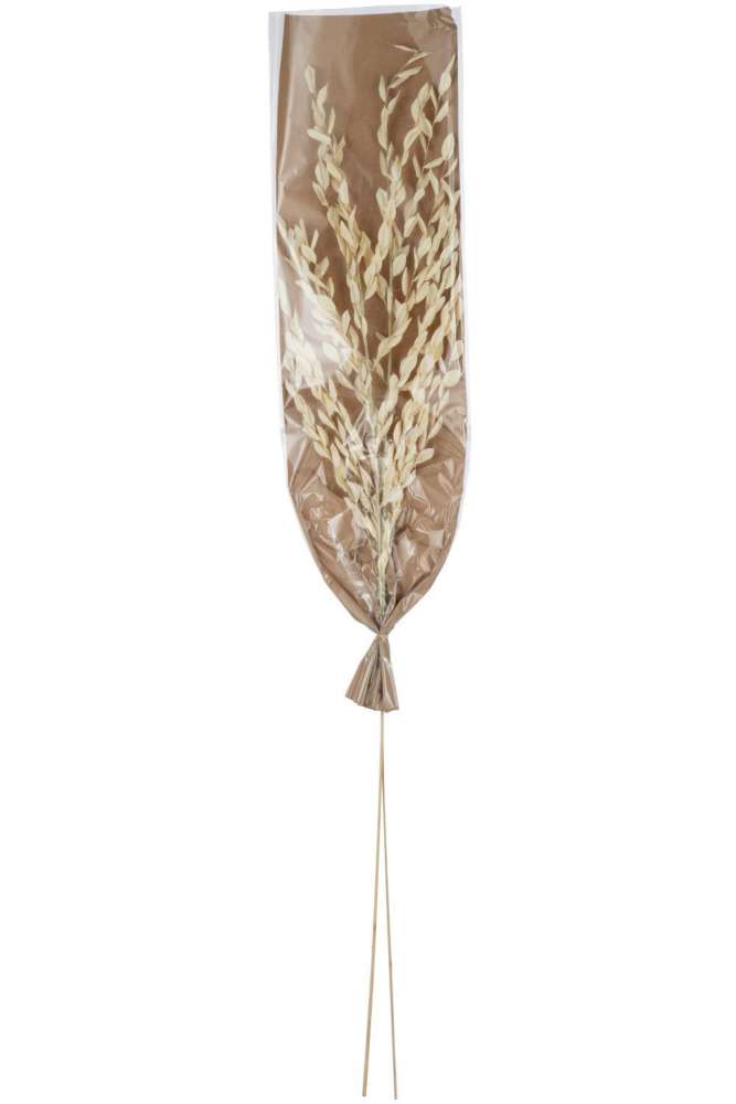 DRIED LEAVES NATURAL LARGE