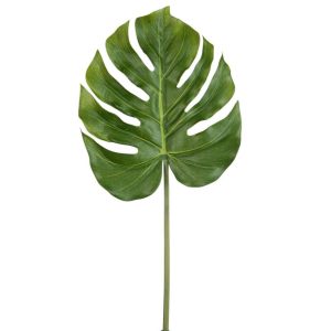 PHILODENDRON REAL TOUCH SINGLE LEAF GREEN 81CM