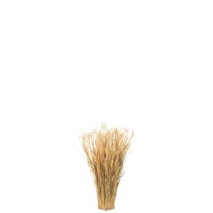 DRIED GRAIN BUNDLE GRASS SMALL