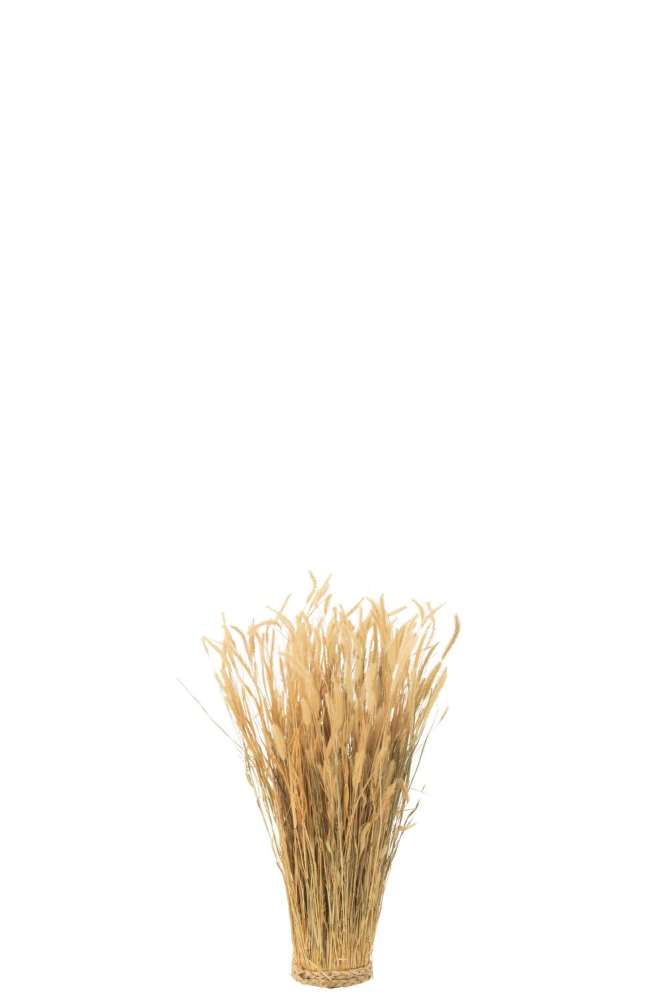 DRIED GRAIN BUNDLE GRASS SMALL