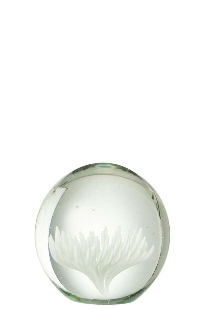 PAPERWEIGHT ASTER ROUND GLASS TRANSPARENT/WHITE